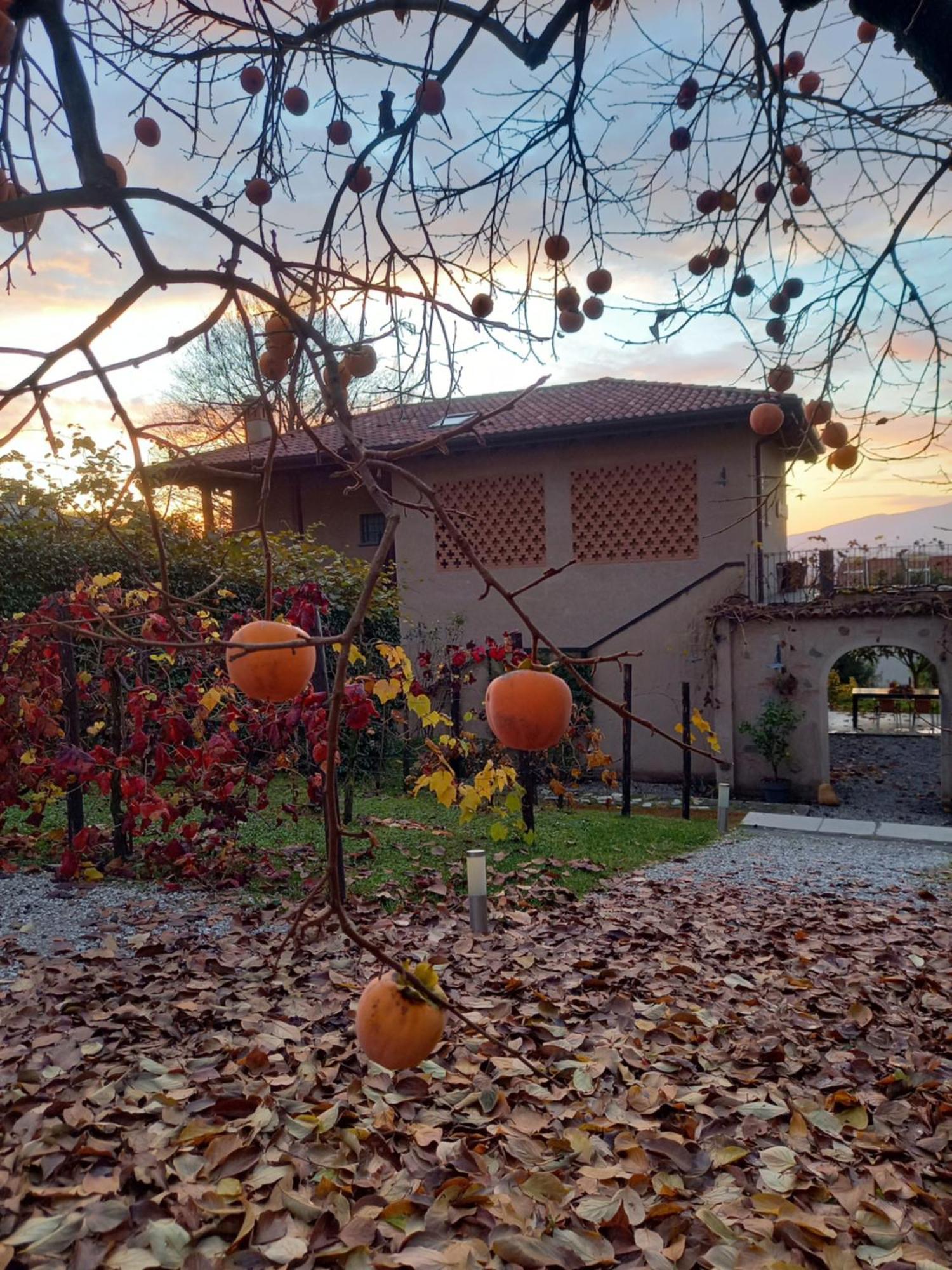 B&B Cascina La Cinciallegra Oggiono Exterior photo